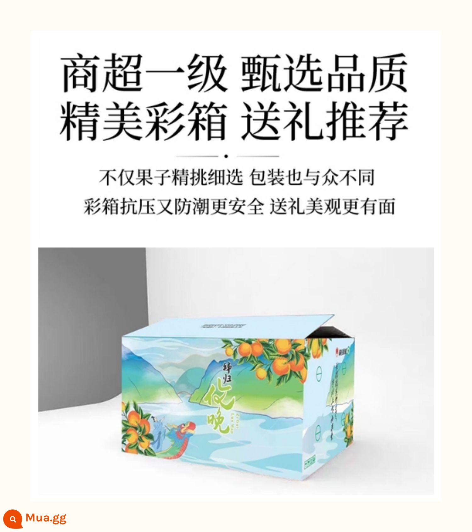 [Kho báu XXL] 2022 Yunnan Chuchu Orange Official Flagship Store Bingtang Orange Treasure Early Orange 10 catties Gift Box - 70mm (bao gồm)-85mm (không bao gồm)