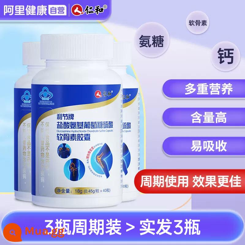 Viên nén canxi Renhe Glucosamine Chondroitin dành cho người trung niên và người già, giảm đau khớp do đường, bổ sung sunfat cộng với canxi, cửa hàng chính thức - [Giao hàng thật 3 chai cùng kiểu dáng] Khoảng 20% ​​khách hàng thường xuyên lựa chọn (chăm sóc chu kỳ)