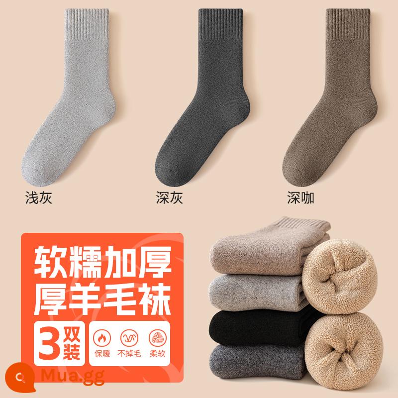 Tất nam giữa bắp chân tất mùa thu đông nhung dày tất len ​​ấm áp mùa đông dày cotton siêu dày nữ - 3 đôi tất len ​​nam: xám đậm + xám nhạt + cà phê