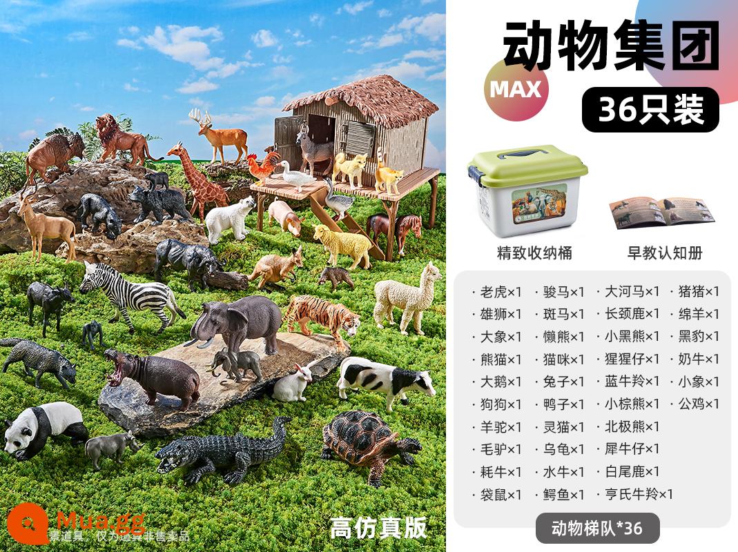 Đồ chơi mô phỏng trẻ em mô hình động vật Bộ giáo dục sớm nhận thức cho bé 1 Safari Park 2 World Full Farm - ☀[Nhóm nhóm giá trị] 36 con vật + thùng lưu trữ miễn phí + hướng dẫn giáo dục sớm động vật