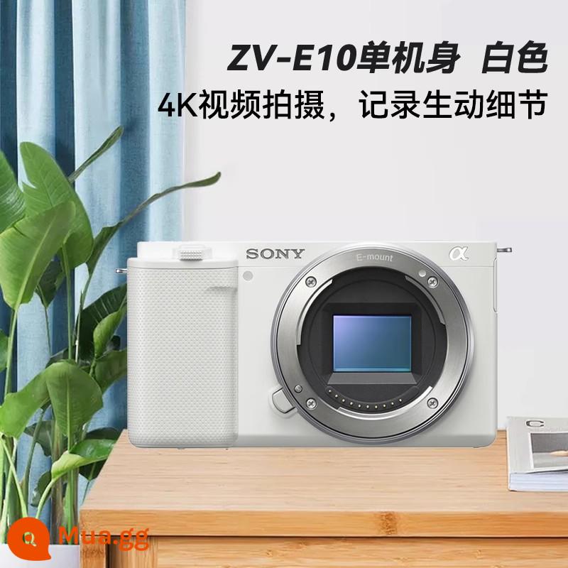 Sony/Sony ZVE10 máy ảnh ống nhòm siêu nhỏ máy ảnh du lịch kỹ thuật số selfie vlog video 4K HD cửa hàng hàng đầu zv-e10 - Thân đơn màu trắng