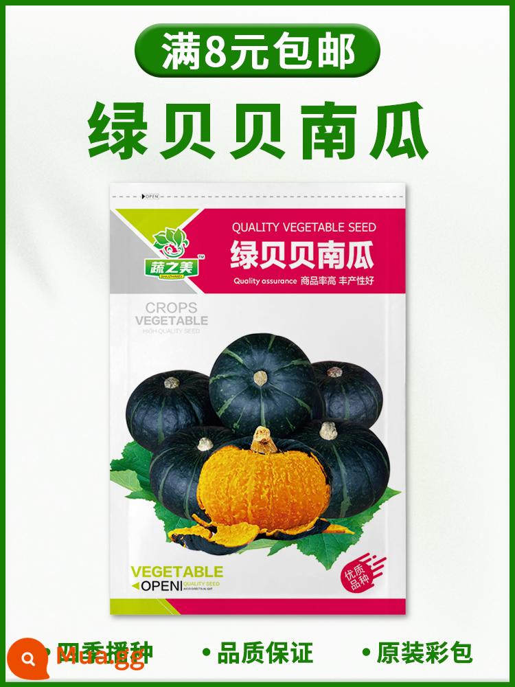 Hạt giống rau bốn mùa gieo ban công trang trại chậu rau muống rau muống xà lách tỏi tây hẹ hạt giống dâu hoàn thành bộ sưu tập - Bí ngô Beibei xanh [khoảng 20 miếng]