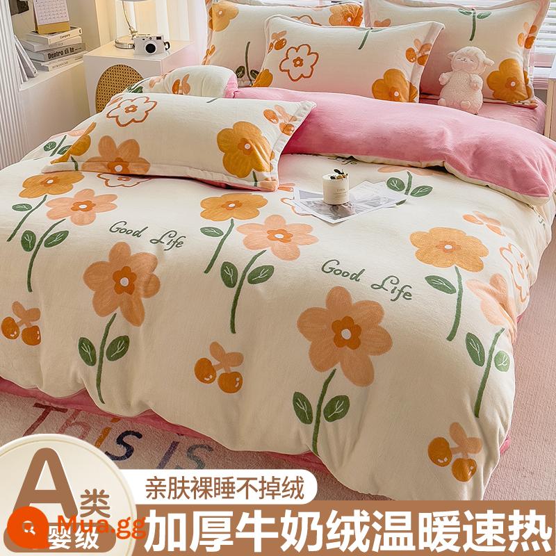 Mùa đông Coral Velvet Quilting Singer Sữa B) - ngôn ngữ hoa lãng mạn