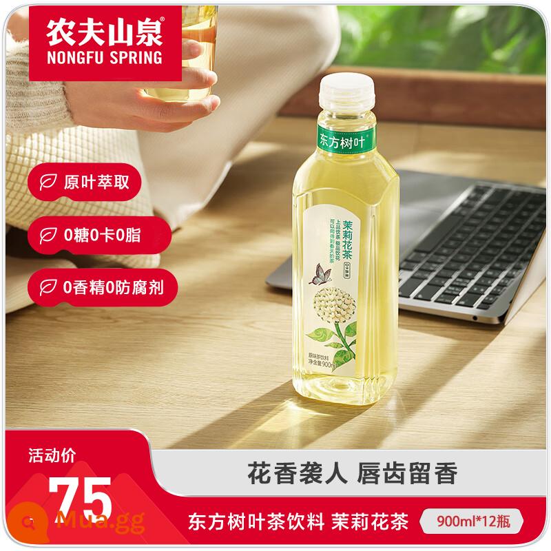 Nongfu Mùa Xuân Phương Đông Lá Đường Đồ Uống Trà Hoa Nhài Trà Xanh Trà Đen Trà Ô Long Cả Hộp 500Ml * 15 Chai - Trà hoa nhài 900ml*12 chai