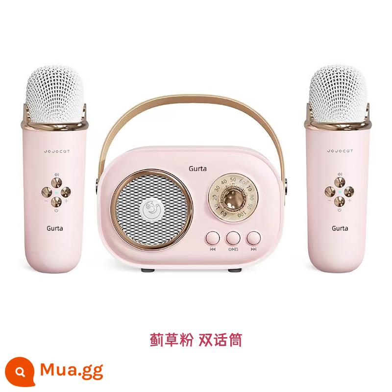 Gurta âm thanh micro karaoke bluetooth loa gia đình KTV nhỏ hát karaoke gia đình micro âm thanh Tất cả - micro kép màu hồng cây kế