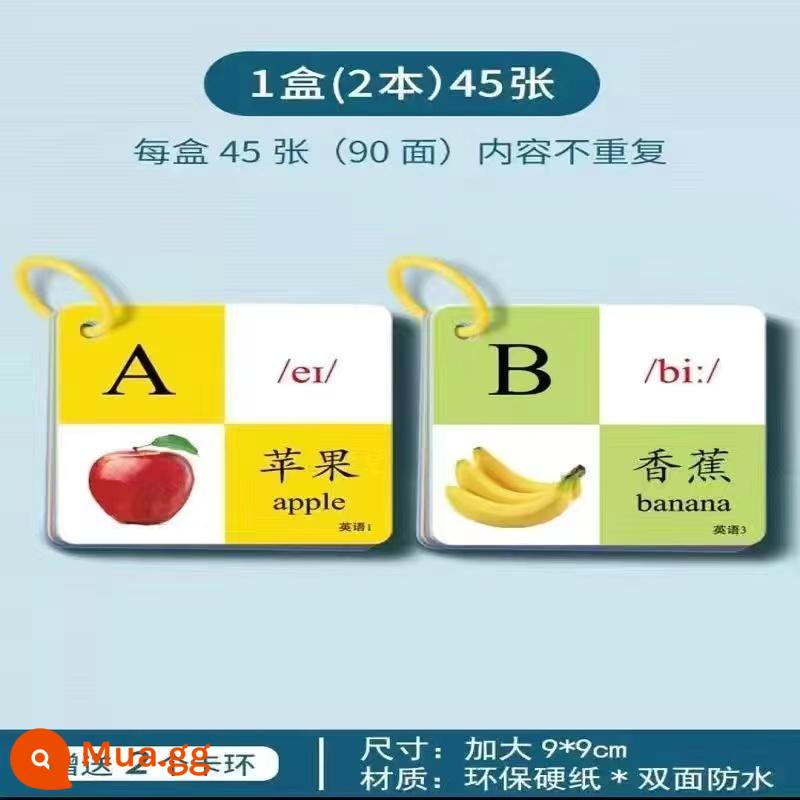 Thẻ động vật nhận thức giáo dục sớm giác ngộ cuốn sách trẻ em một tuổi đồ chơi giáo dục bé biết chữ để xem hình ảnh và đồ vật - 1 hộp: Bính âm tiếng Anh [45 thẻ dày dày]