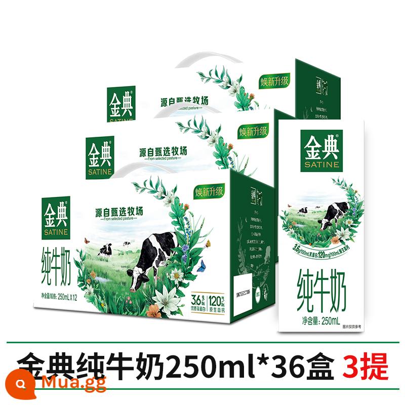 Quà Tết sữa nguyên chất Yili Jindian 250ml*12 hộp full hộp sữa ăn sáng dinh dưỡng dành cho trẻ em, học sinh và người lớn - [Sản xuất vào tháng 9] Sữa nguyên chất Jindian 250ml * 36 hộp