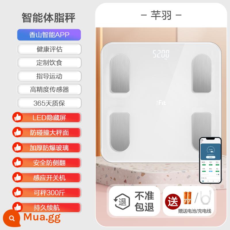 Cân cơ thể cân điện tử chính xác gia dụng cân điện tử giảm cân có độ chính xác cao có thể sạc lại cân sức khỏe cơ thể con người Cân mỡ cơ thể Tương Sơn - Cân mỡ cơ thể thông minh/màn hình ẩn nâng cấp/màu trắng tiêu chuẩn/pin