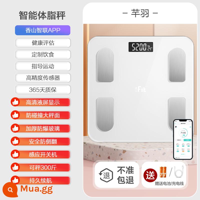 Cân cơ thể cân điện tử chính xác gia dụng cân điện tử giảm cân có độ chính xác cao có thể sạc lại cân sức khỏe cơ thể con người Cân mỡ cơ thể Tương Sơn - Cân đo mỡ cơ thể thông minh/Trắng tiêu chuẩn/Pin