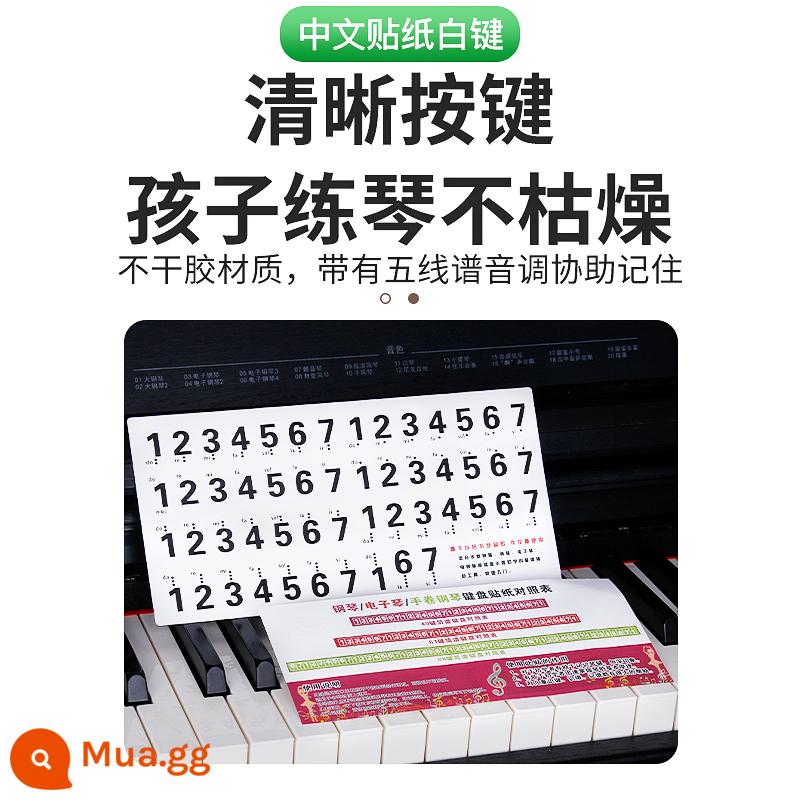 Miếng dán đàn piano ký hiệu âm nhạc năm dòng không cần keo Đàn piano điện tử 61 phím trong suốt 88 phím theo nhãn dán âm thanh bàn phím Ký hiệu âm nhạc năm dòng - Ký hiệu âm nhạc đơn giản hóa bằng ký tự lớn phổ biến cho các phím 54-88 (chỉ phím trắng)