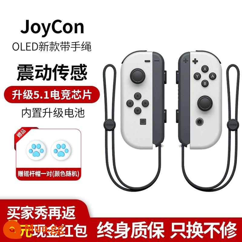 Thích hợp cho tay cầm chuyển đổi Nintendo joycon rung somatosensory ns jet 3 hàng đôi trái và phải trong nước - Tay cầm Joycon [OLED kiểu mới] + [dây đeo tay]