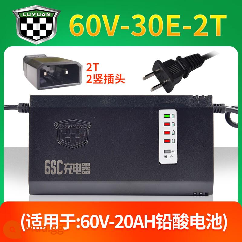 Xe điện Luyuan chính hãng sạc pin axit chì đặc biệt 48V/60V/72V làm mát tự động tóc thẳng - [5 đèn thông minh] 60V-30E-2T