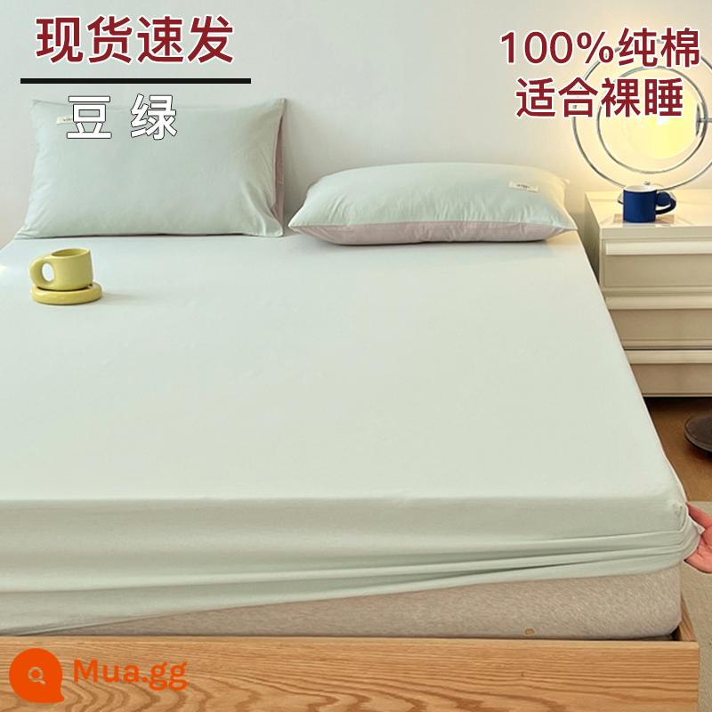 Bộ drap cotton trang bị một mảnh bộ ga trải giường mùa đông 2022 túi đựng nệm Simmons mới cotton nguyên chất ga trải giường cotton đã qua giặt sạch - đậu xanh