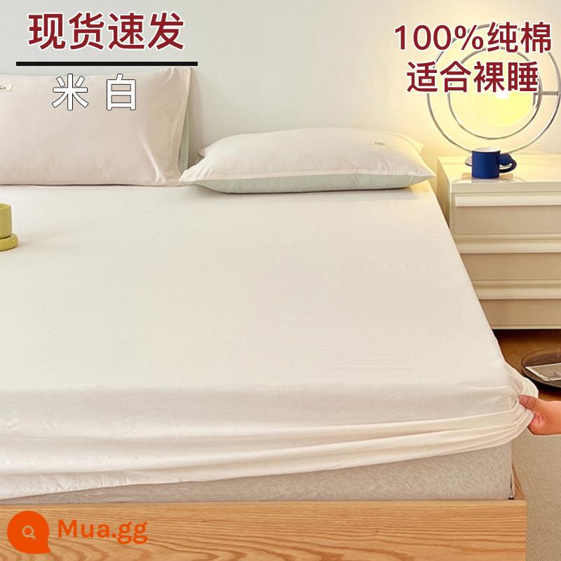 Bộ drap cotton trang bị một mảnh bộ ga trải giường mùa đông 2022 túi đựng nệm Simmons mới cotton nguyên chất ga trải giường cotton đã qua giặt sạch - Be