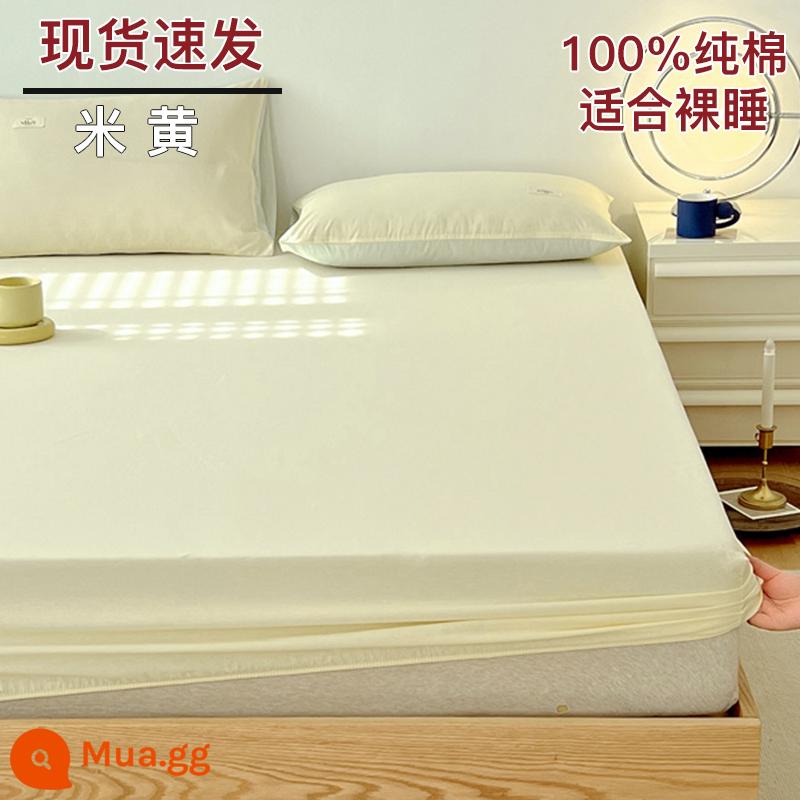 Bộ drap cotton trang bị một mảnh bộ ga trải giường mùa đông 2022 túi đựng nệm Simmons mới cotton nguyên chất ga trải giường cotton đã qua giặt sạch - be