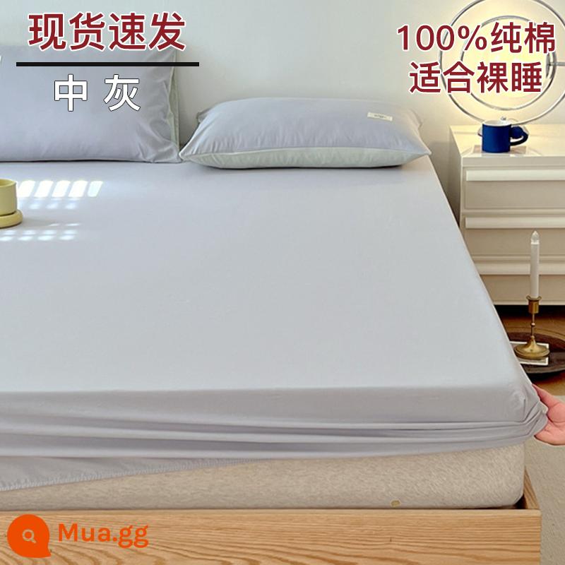 Bộ drap cotton trang bị một mảnh bộ ga trải giường mùa đông 2022 túi đựng nệm Simmons mới cotton nguyên chất ga trải giường cotton đã qua giặt sạch - xám