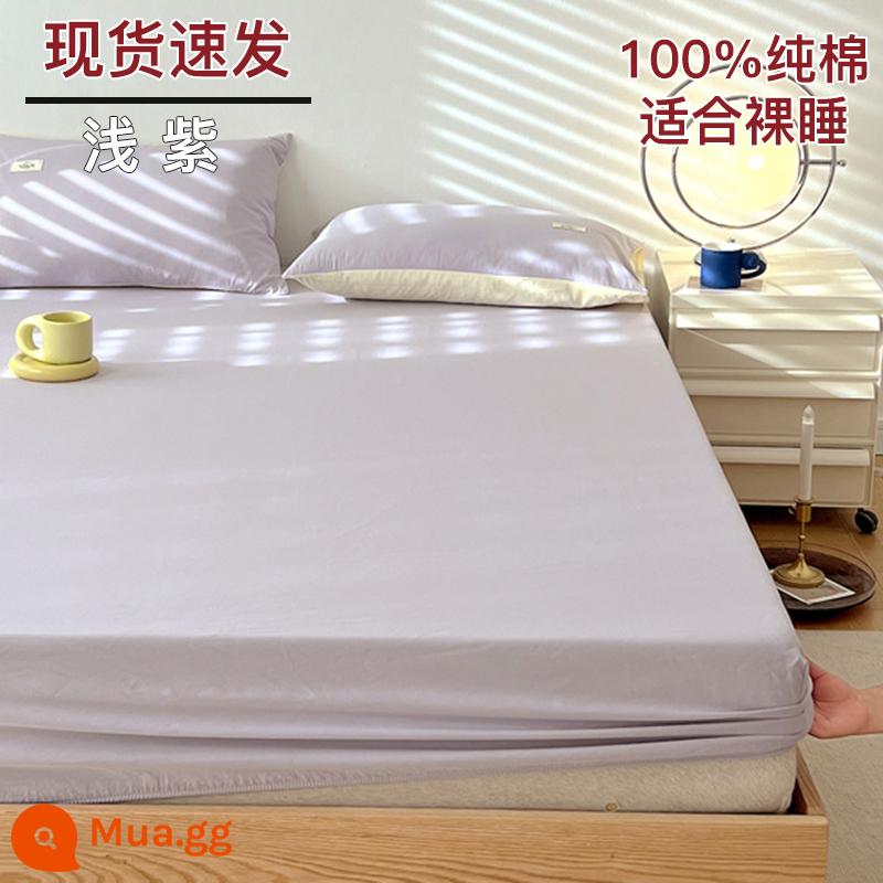 Bộ drap cotton trang bị một mảnh bộ ga trải giường mùa đông 2022 túi đựng nệm Simmons mới cotton nguyên chất ga trải giường cotton đã qua giặt sạch - tím nhạt