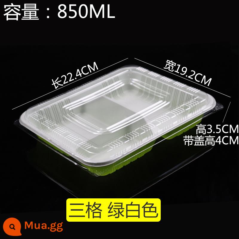 Hộp đồ ăn trưa Bữa ăn trưa, 3 -Square -Meal Hộp Hộp ăn trưa Hộp ba người - Ba ngăn nắp 4.5g, một nghìn bộ, xanh và trắng