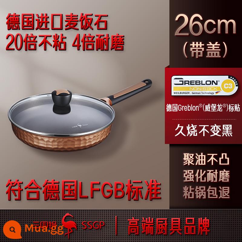 SSGP Đức nhập khẩu chảo, lò nung điện gia đình không có mặt - 26cm có nắp/2-4 người