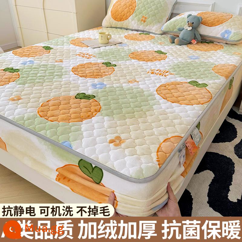 Nhung sữa chần bông trang bị tấm đơn mảnh san hô flannel trải giường mùa đông dày Simmons nệm giường túi trải giường - Dajudali [Lớp A kháng khuẩn/ấm áp và không rụng lông]