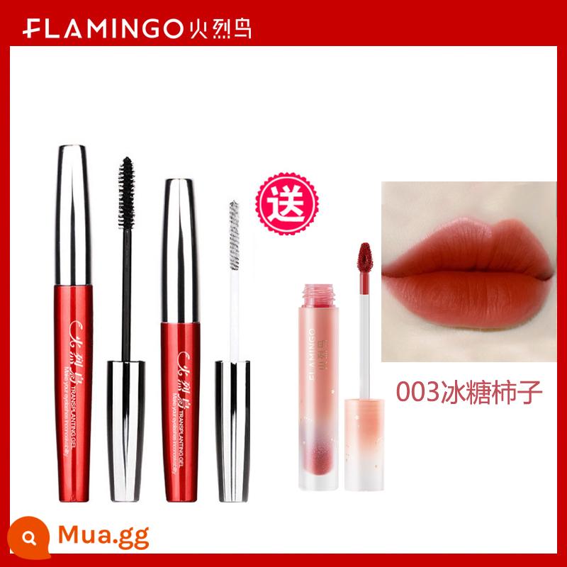 Mascara Flamingo ghép mã hóa dày đặc làm cong mảnh mai lâu trôi không thấm nước không lem mi mắt nữ lưới đỏ chính hãng - Flamingo(Incredible)+Flamingo Lip Glaze 003#Quả hồng đường phèn