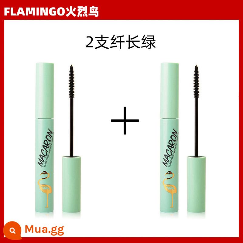 Hạc Mascara mắt nữ chống thấm nước không lem đầu cọ nhỏ lưới đỏ chân thực thanh mảnh dày cong khuôn mẫu - Flamingo Slim (xanh) 2 miếng Không có quà tặng