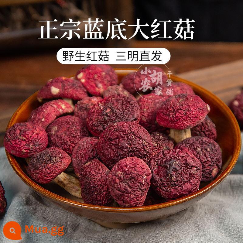 SANMING SANMING XUỐNG RED RED MUSHOROM DRY HÀNG HÀNG FUJIAN BLUE BẮT - 499g