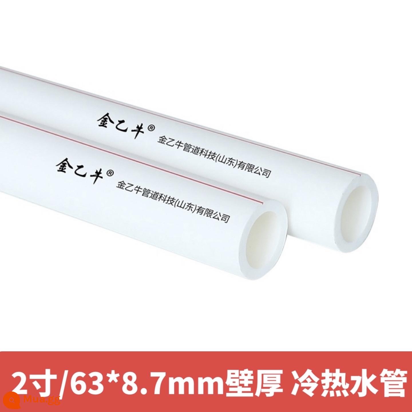 phụ kiện ống nước ppr 4 phút 20 ống nóng chảy 6 phút 25 hộ gia đình 32 sưởi ấm nước nóng lạnh vòi nước ppr ống ống - Giá 2 inch/63 ống màu trắng * độ dày thành 8,7mm (ống nóng và lạnh) giá mỗi mét