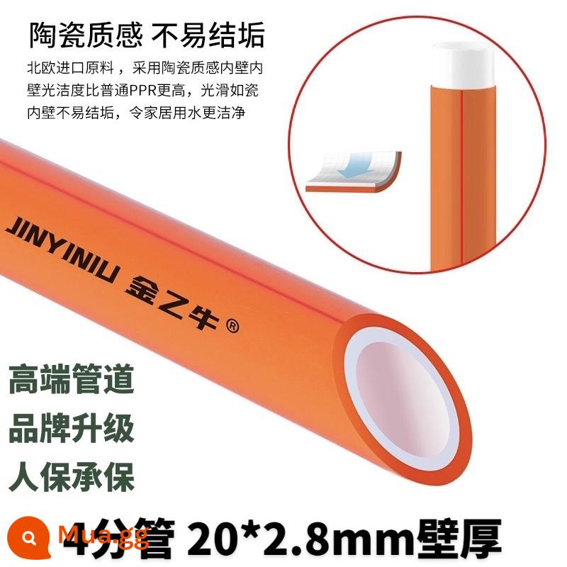 phụ kiện ống nước ppr 4 phút 20 ống nóng chảy 6 phút 25 hộ gia đình 32 sưởi ấm nước nóng lạnh vòi nước ppr ống ống - Boutique trang trí nội thất màu cam lõi sứ hai lớp kháng khuẩn 4 điểm/20 ống * độ dày thành 2.8mm giá 1 mét