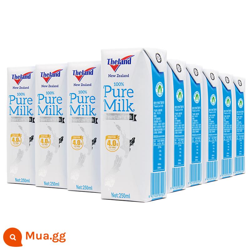 New Zealand nhập khẩu chính hãng New Zealand 4.0g sữa nguyên chất giàu canxi dành cho người lớn 250ml * 24 hộp - 4.0 ít béo 250ml*24 hộp