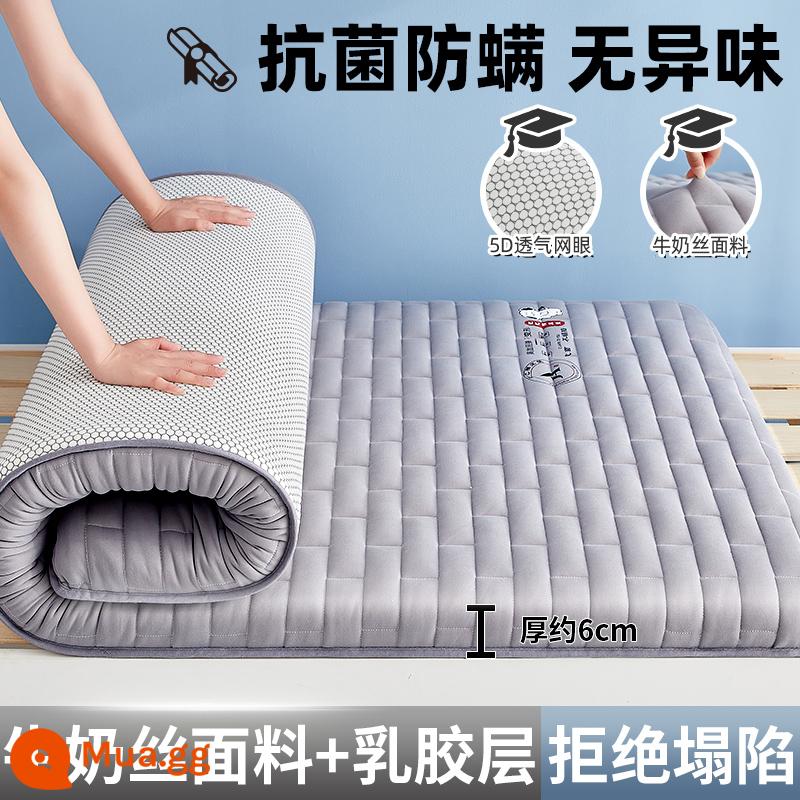 Nệm cao su đệm ký túc xá sinh viên đơn 90x190 trên và dưới bến ngủ thảm đánh sàn shop đặc biệt chăn ga gối đệm - Nệm cao su ✅Moon Dog Grey - dày khoảng 6cm [Phong cách lụa sữa nâng cấp + Vải kháng khuẩn, chống mạt loại A]