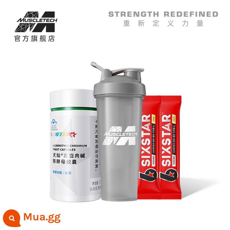 Công nghệ cơ bắp bổ sung creatine kẽm magiê 6 sao taurine monohydrate creatine bơm nitơ bcaa sức mạnh axit amin chuỗi nhánh - [Đối tác tập luyện] 2 thanh creatine + 1 cốc lắc hàng hiệu + L-spin