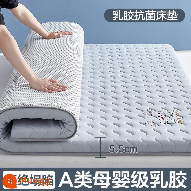 Nệm cao su đệm nhà tatami mat chăn dày ký túc xá sinh viên đơn miếng bọt biển cho thuê đặc biệt mat chăn - (Dày khoảng 5.5cm) Thỏ Dễ Thương - Xám [Áo công nghiệp 5 lớp mủ siêu dày + Vải kháng khuẩn, chống mạt loại A]