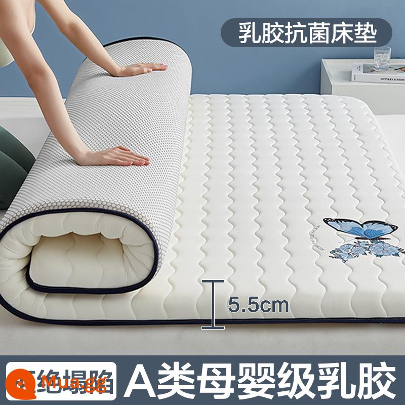 Nệm cao su đệm nhà tatami mat chăn dày ký túc xá sinh viên đơn miếng bọt biển cho thuê đặc biệt mat chăn - (Độ dày: khoảng 5.5cm) Màu trắng bướm [Áo công nghiệp được trang bị 5 lớp mủ siêu dày + Vải kháng khuẩn, chống mạt loại A]