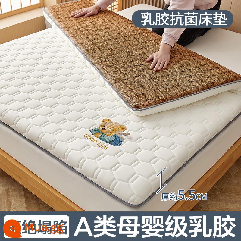 Nệm cao su đệm nhà tatami mat chăn dày ký túc xá sinh viên đơn miếng bọt biển cho thuê đặc biệt mat chăn - (Độ dày khoảng 5.5cm) Màu be gấu [Thảm 2 mặt nâng cấp + Vải kháng khuẩn, chống mạt loại A]