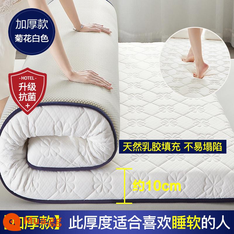 Nệm cao su đệm nhà dày ký túc xá sinh viên đơn chiếu tatami thảm xốp cho thuê chăn đặc biệt - [Mẫu Latex nâng cấp + Vải kháng khuẩn loại A] Clover White 10cm