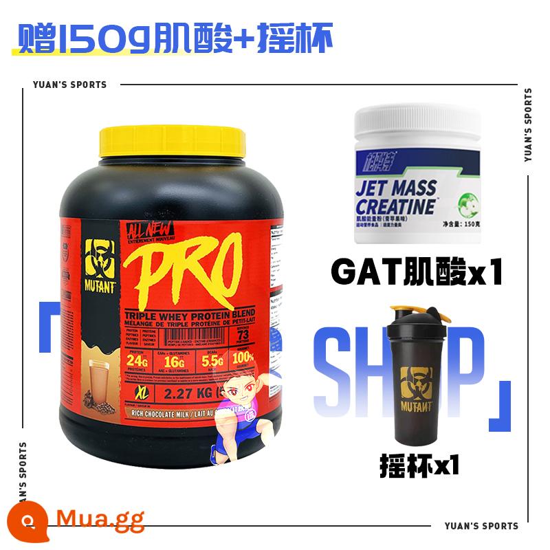 Nguyên Tử Của Bổ Sung Shop Đột Biến Warcraft PRO Huy Chương Vàng Bột Whey Protein 5 Lbs Thể Dục Người Mỏng Tăng Cân - Miễn phí: GAT Creatine + World of Warcraft Cup