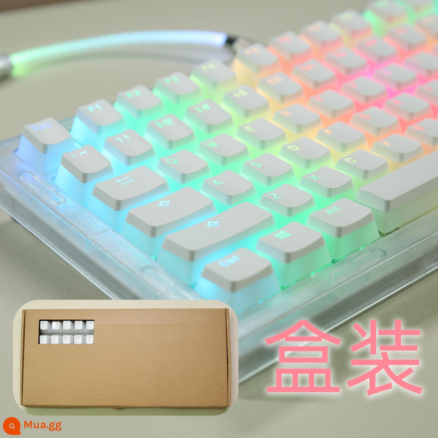 Phiên bản mới của keycap truyền ánh sáng bánh pudding sữa hai lớp đã đóng cổng PBT hai màu không nước OEM 61/68/84/87/104, v.v. - Trắng [phiên bản nâng cấp] 117 miếng (đóng hộp) 61/68/84/87/104