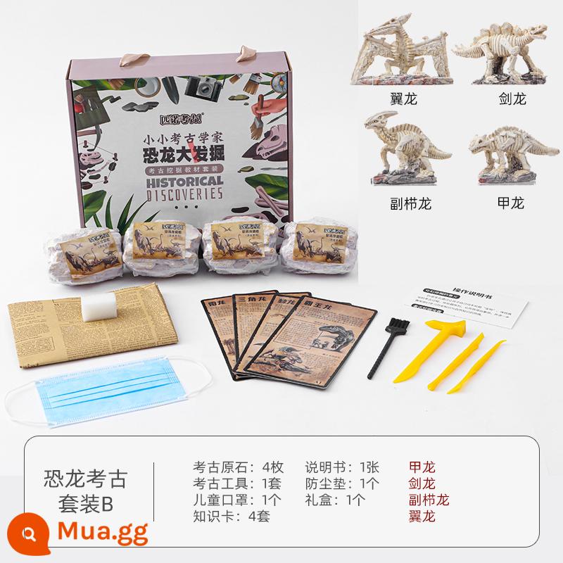 Hóa thạch khủng long khai quật khảo cổ đồ chơi trẻ em handmade tự làm Tyrannosaurus rex cậu bé săn tìm kho báu đào đá quý kho báu mù hộp - Dòng khủng long B [Ankylosaurus + Stegosaurus + Parasaurus + Pterosaur]