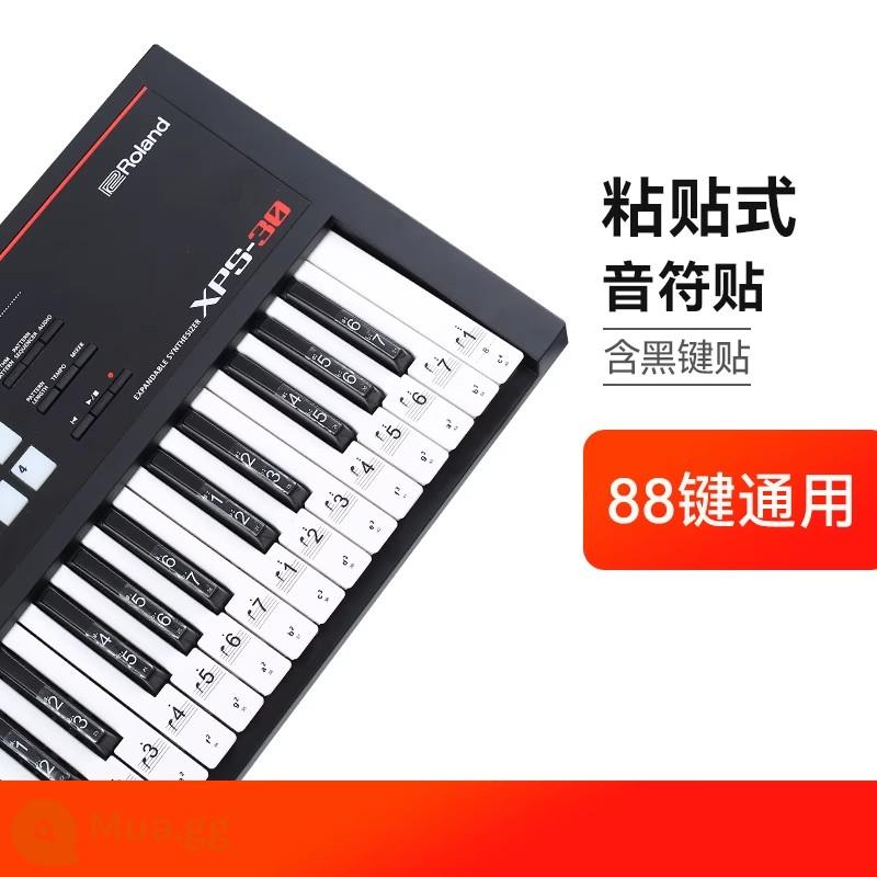 Nano Đàn Piano Miếng Dán Bàn Phím 88/61/54 Phím Bàn Phím Điện Tử Đa Năng Bàn Phím Điện Tử Mới Bắt Đầu Trẻ Em Ký Hiệu Âm Nhạc Note Miếng Dán - [Loại dính] Nhãn dán ghi chú phổ thông (bao gồm nhãn dán phím đen)