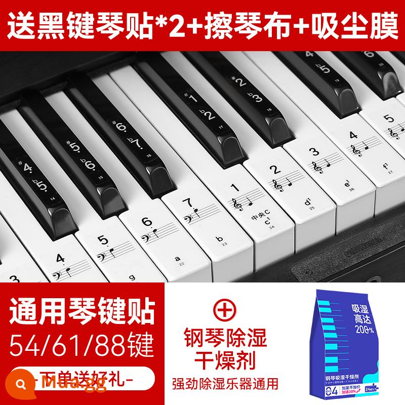 Nano Đàn Piano Miếng Dán Bàn Phím 88/61/54 Phím Bàn Phím Điện Tử Đa Năng Bàn Phím Điện Tử Mới Bắt Đầu Trẻ Em Ký Hiệu Âm Nhạc Note Miếng Dán - Miếng dán phím đàn piano không keo Nano + quà tặng + hút ẩm và hút ẩm đàn piano (24 miếng)