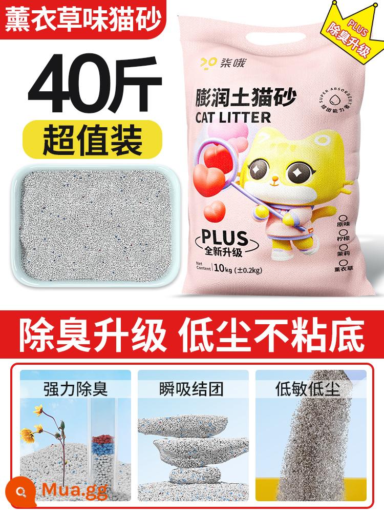 Mèo miễn phí vận chuyển 20kg khử mùi ít bụi mèo mỏ cát bentonite mèo 40kg giá cả phải chăng gói 20kg đồ dùng cho mèo - ❤️[Nâng cấp khử trùng và khử mùi] 40 pound hương hoa oải hương (tỷ lệ khử mùi ≥95%)