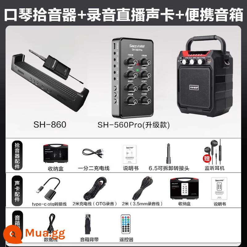 Micrô không dây Shanghao Douqin Professional sử dụng chơi micro Ghi âm điện tử nghe nhìn SH860 SH860 SH860 - Micro không dây harmonica SH860 + Card âm thanh SH560pro + loa