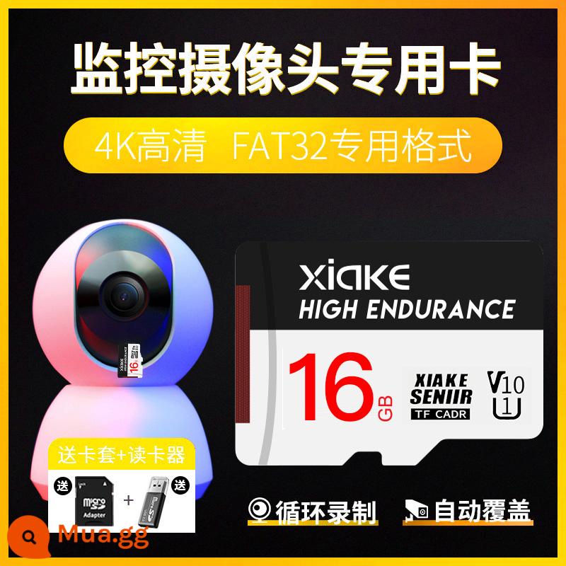 Xia Ke thẻ nhớ tốc độ cao kê camera giám sát thẻ nhớ 128gtf thẻ lái xe ghi thẻ nhớ sd - [16G] ngăn chứa thẻ SD + đầu đọc thẻ