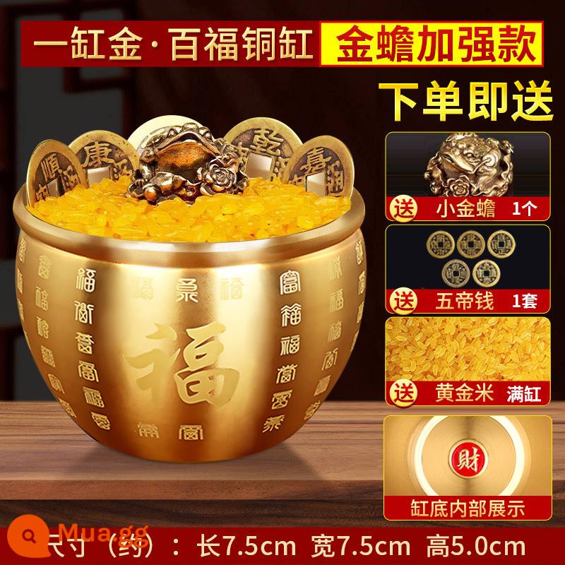 Bonato Rice Xi lanh Baifu Twita Poly Treasure Pure Copper chính hãng Mang theo phòng thí nghiệm CJaine Copper Shop Creative Sáng tạo trang trí nhỏ - Một lọ vàng (Baifu Golden Toad Jar)