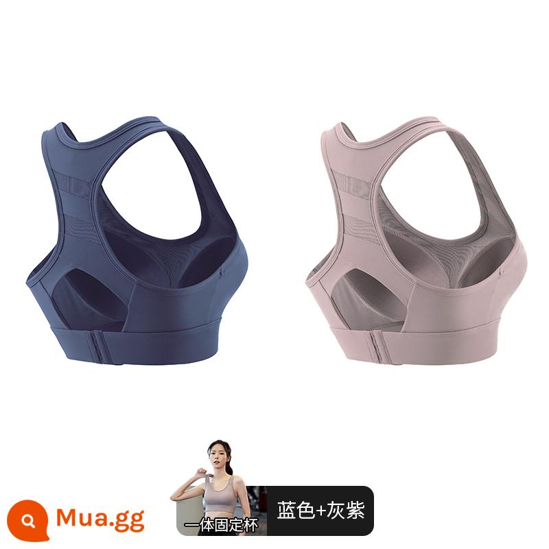 Áo ngực thể thao cường độ cao cho nữ mặc cho ngực to, áo tập yoga chạy bộ chống sốc, áo chống chảy xệ - [Tích hợp cốc cố định] Xanh navy + tím xám