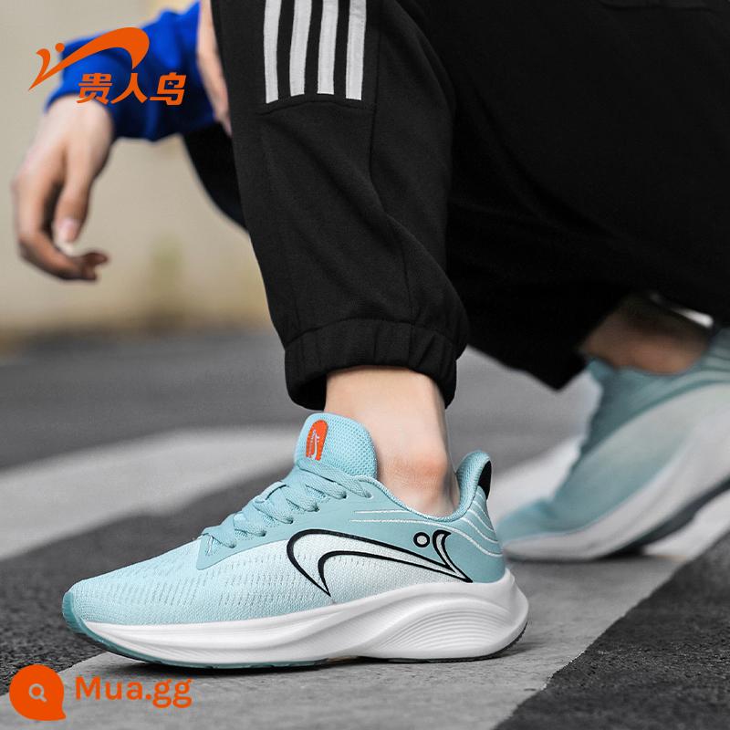 Chim Cao Quý Dừa Sneakers Bắp Rang Giày Nam Mùa Hè Lưới Thoáng Khí Chạy Bộ Chống Sốc Nam Giày Chạy Bộ Cũ - không khí màu xanh/đen