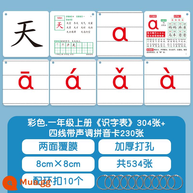 Thẻ học chữ học sinh tiểu học phiên bản giáo dục nhân dân Đồng bộ hóa sách giáo khoa Trung Quốc lớp một tập một tập hai tập hai lớp hai từ mới - Flashcards 304 từ dành cho học sinh lớp 1 + 230 thẻ bính âm bốn dòng [Sách giáo khoa đồng bộ, dát mỏng 2 mặt]