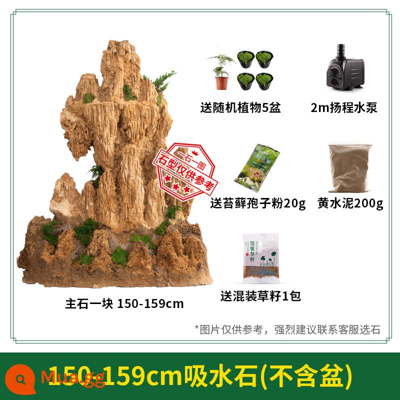 Đá hút nước tự nhiên đá bonsai sân vừa và lớn ao cá nước đá đá gốc hòn non bộ cảnh quan núi đá đồ trang trí nhỏ - Màu nâu sẫm 150-159cm không tính chậu