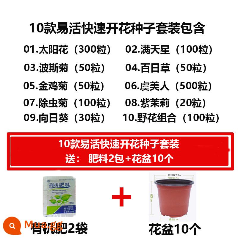 Hạt giống hoa bốn mùa gieo hạt hướng dương ra hoa dễ sống hạt hướng dương trồng trong nhà và ngoài trời - Mới 10 hạt ra hoa nhanh + 10 chậu hoa + phân bón